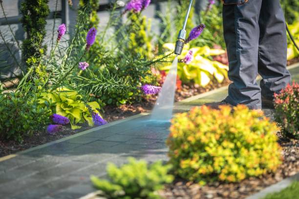 Best Soft Washing  in Scarsdale, NY