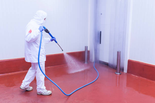 Pre-Holiday Cleaning in Scarsdale, NY
